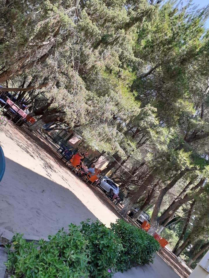 Divjaka Park Exterior photo